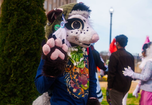 BUN02911