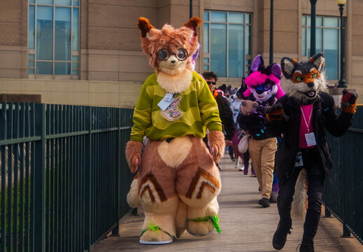 BUN02925