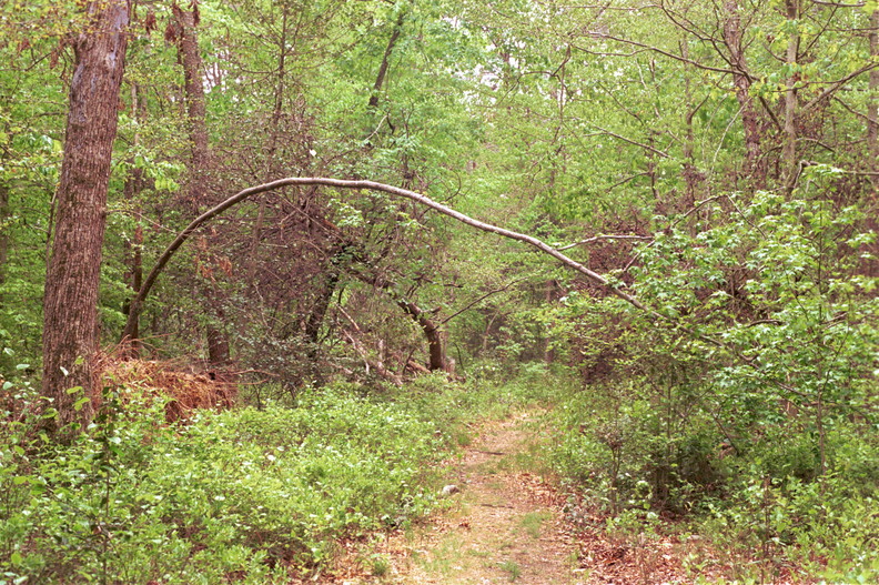 PATUXENTAPR2612.jpg