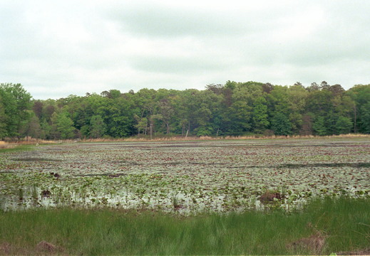 PATUXENTAPR2620