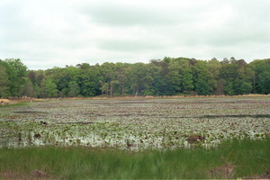 PATUXENTAPR2620