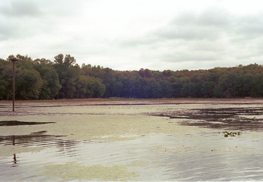 PATUXENTAPR2622