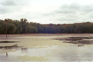 PATUXENTAPR2622