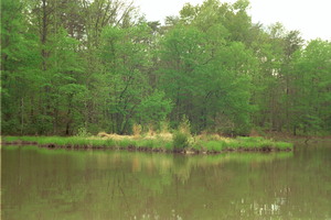 PATUXENTAPR2636