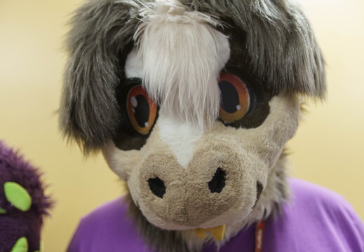 TFS Furbowl95 Juneberry-9200