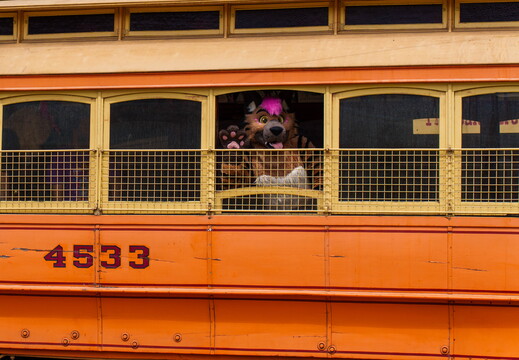 Rails and Tails 2026-04-19