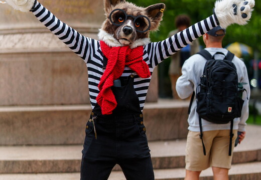 Furmeets