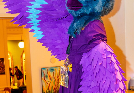 Furcons