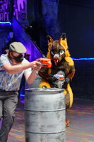 Shutterpaws Nerf 2026-08-29 Juneberry-03328