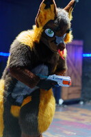 Shutterpaws Nerf 2026-08-29 Juneberry-03332