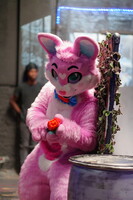 Shutterpaws Nerf 2026-08-29 Juneberry-03363