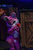 Shutterpaws Nerf 2026-08-29 Juneberry-03389