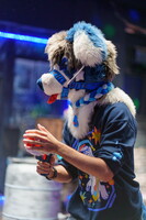Shutterpaws Nerf 2026-08-29 Juneberry-03404
