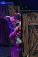 Shutterpaws Nerf 2026-08-29 Juneberry-03410
